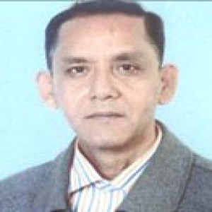 শাহনেওয়াজ পারভেজ