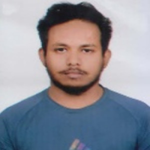 পরশ সীমান্ত রায়