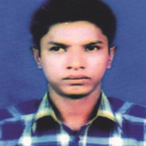 মমতাজুল আলম স্বপন