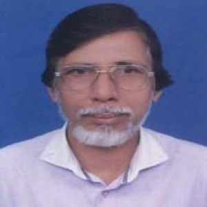 ময়েজ উদ্দীন আহমেদ