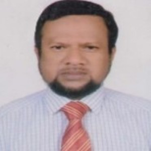 মোঃ মিনারুল ইসলাম